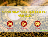 Tử vi  2025: Ba con giáp vướng hạn tam tai và cách vượt qua vận đen