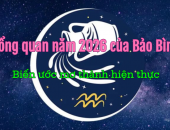Cung Bảo Bình 2026 -  Tử Vi Năm 2026 Cung Bảo Bình