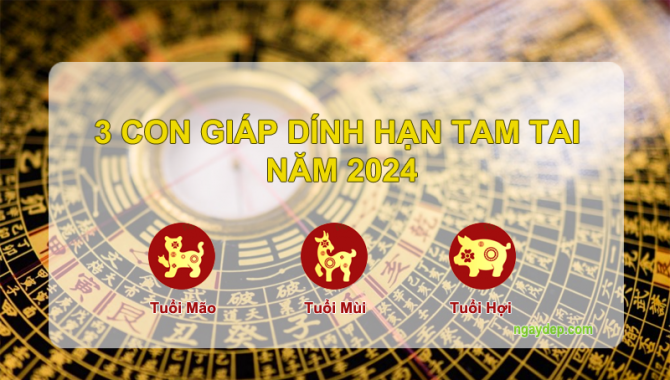 Tử vi  2025: Ba con giáp vướng hạn tam tai và cách vượt qua vận đen