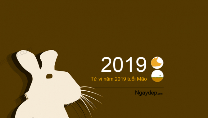 Tử vi 2019 tuổi Mão - Ngaydep.com