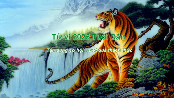 Tử vi năm 2025 của tuổi Dần - Tận dụng cơ hội, vượt qua thách thức