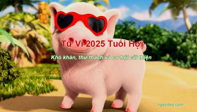 Tử vi 2025 tuổi Hợi - Khó khăn, thử thách và cơ hội cải thiện