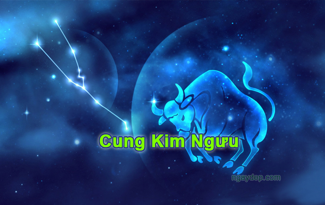 Sinh ngày 6 tháng 5 thuộc cung Kim Ngưu