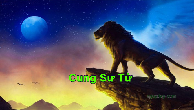 Sinh ngày 13 tháng 8 thuộc cung Sư Tử