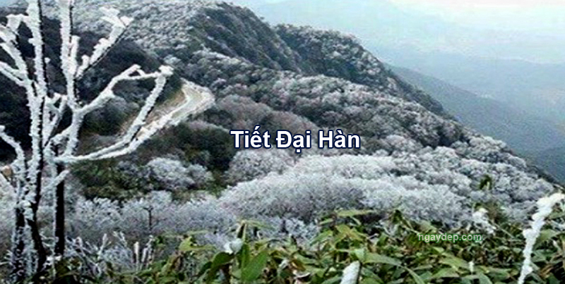Tiết Đại Hàn 2025