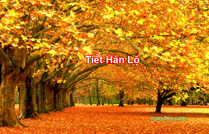 Tiết Hàn Lộ 2025