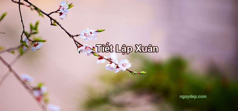 Tiết Lập Xuân 2025