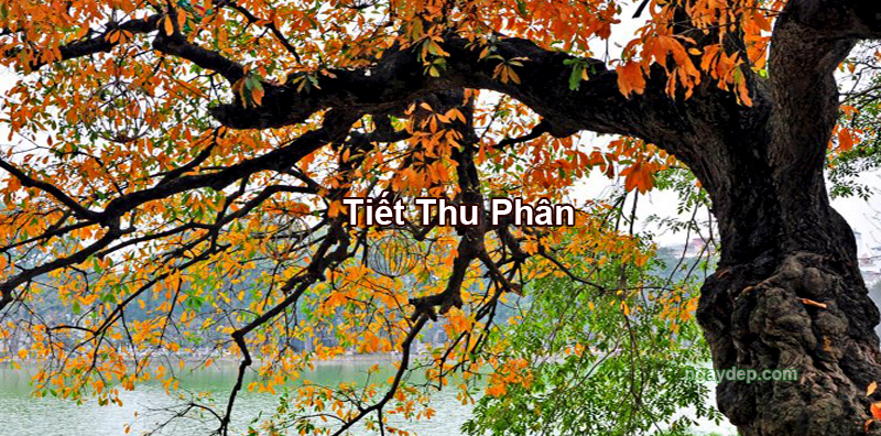 Tiết Thu Phân 2025