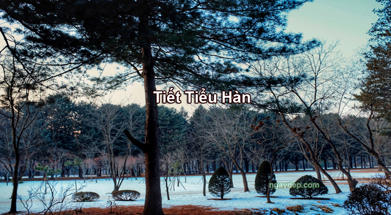 Tiết Tiểu Hàn 2025