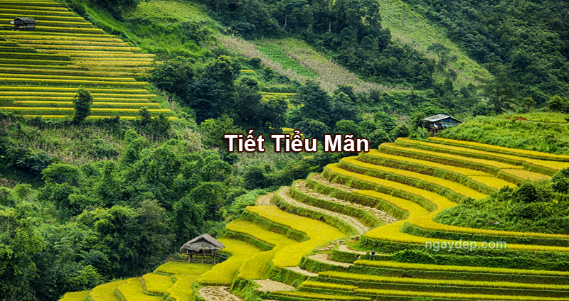 Tiết Tiểu Mãn 2027