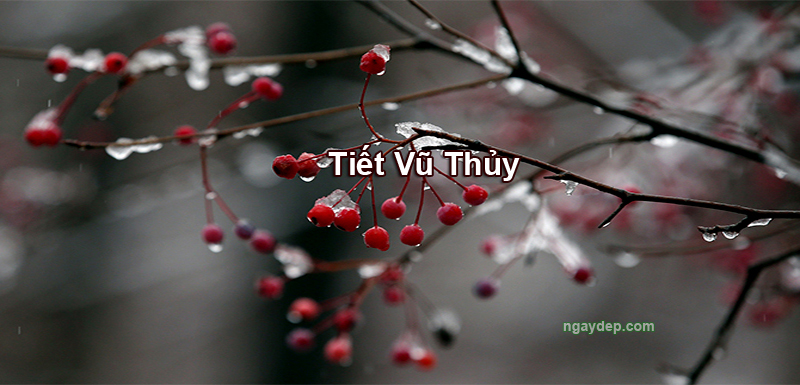 Tiết Vũ Thủy 2025