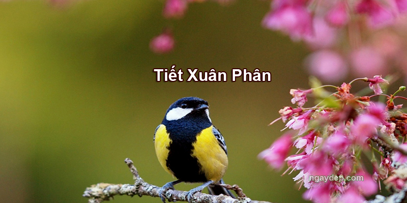 Tiết Xuân Phân 2025