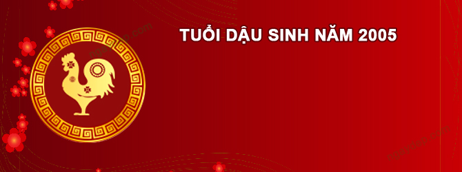Năm 2026 Nam tuổi Ất Dậu 2005 sao gì chiếu mệnh