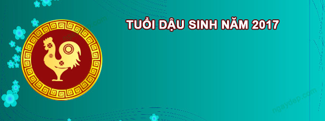 Năm 2026 Nữ tuổi Đinh Dậu 2017 sao gì chiếu mệnh