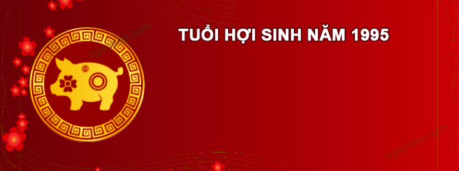 Năm 2027 Nam tuổi Ất Hợi 1995 sao gì chiếu mệnh