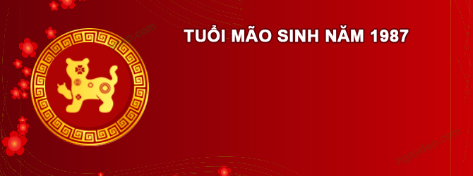 Năm 2027 Nam tuổi Đinh Mão 1987 sao gì chiếu mệnh