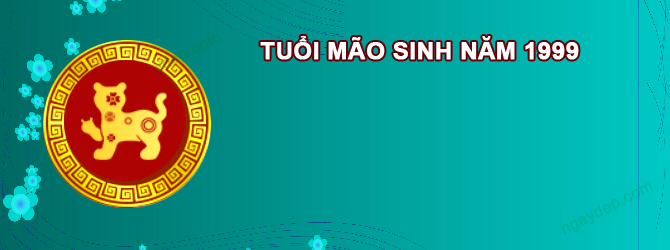 Năm 2027 Nữ tuổi Kỷ Mão 1999 sao gì chiếu mệnh