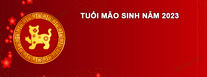 Năm 2027 Nam tuổi Quý Mão 2023 sao gì chiếu mệnh