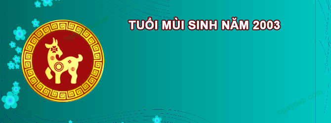 Năm 2026 Nữ tuổi Quý Mùi 2003 sao gì chiếu mệnh