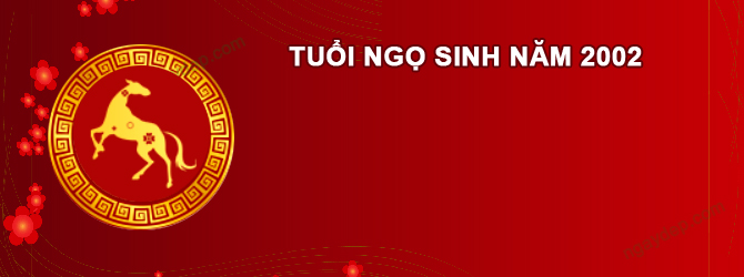 Năm 2028 Nam tuổi Nhâm Ngọ 2002 sao gì chiếu mệnh