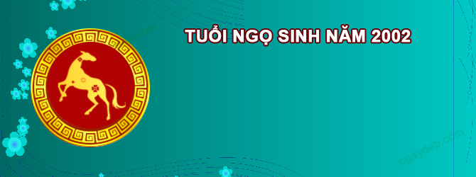 Năm 2027 Nữ tuổi Nhâm Ngọ 2002 sao gì chiếu mệnh