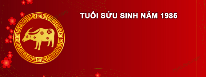 Năm 2030 Nam tuổi Ất Sửu 1985 sao gì chiếu mệnh