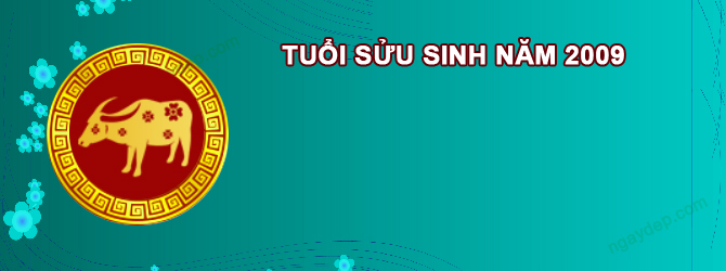 Năm 2028 Nữ tuổi Kỷ Sửu 2009 sao gì chiếu mệnh