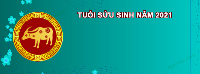 Năm 2027 Nữ tuổi Tân Sửu 2021 sao gì chiếu mệnh