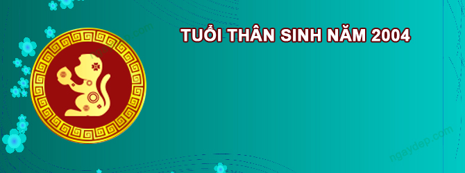 Năm 2027 Nữ tuổi Giáp Thân 2004 sao gì chiếu mệnh