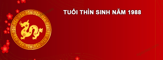 Năm 2027 Nam tuổi Mậu Thìn 1988 sao gì chiếu mệnh
