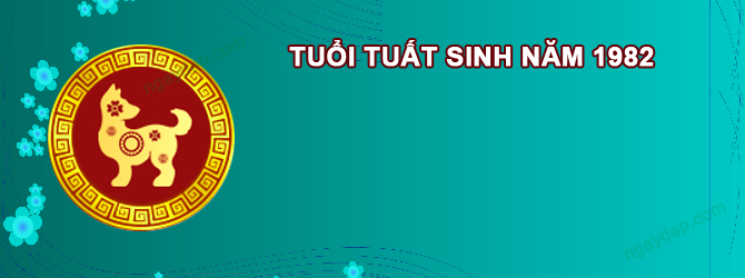 Năm 2026 Nữ tuổi Nhâm Tuất 1982 sao gì chiếu mệnh