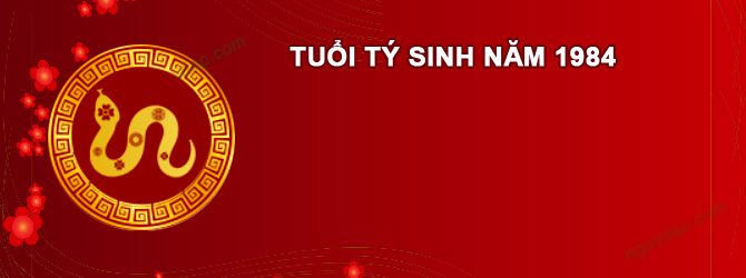 Năm 2026 Nam tuổi Giáp Tý 1984 sao gì chiếu mệnh
