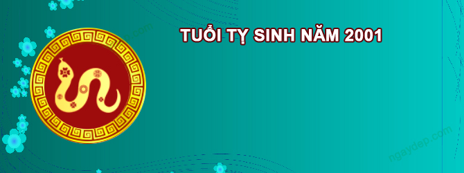 Năm 2026 Nữ tuổi Tân Tỵ 2001 sao gì chiếu mệnh