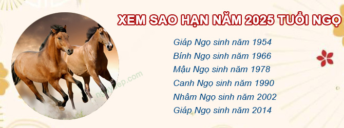 Bảng sao chiếu mệnh năm 2025 của tuổi Ngọ