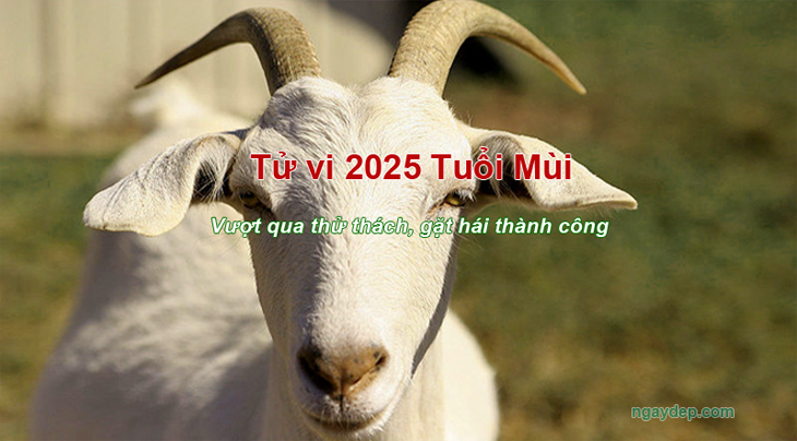 Tử vi 2025 tuổi Mùi