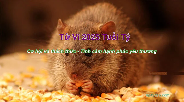 tuvi2025