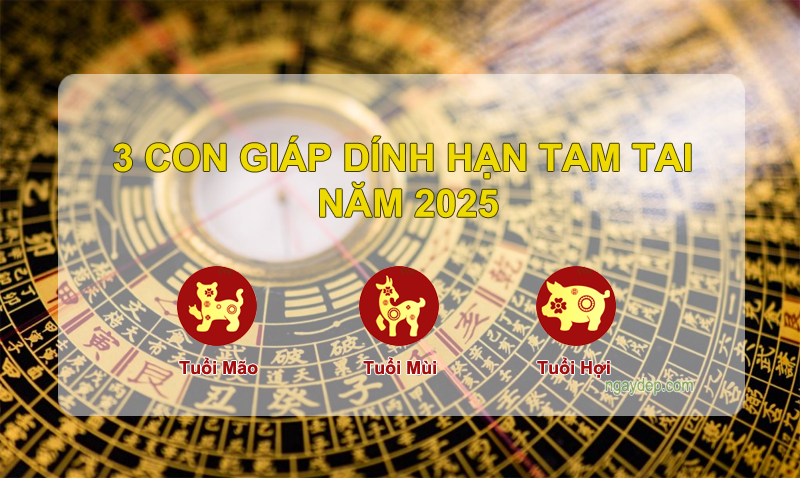 Tử vi 2025: Ba con giáp vướng hạn tam tai và cách vượt qua vận đen