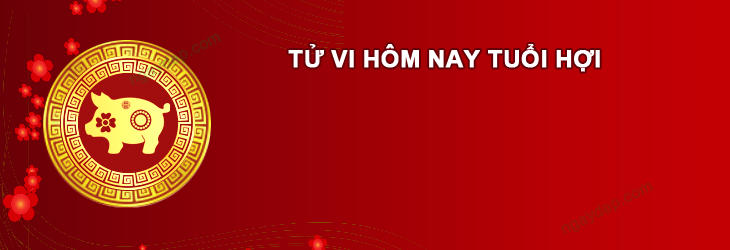 Tử vi hôm nay ngày 3/12/2025 Tuổi Hợi Tử vi hôm nay Tuổi Hợi