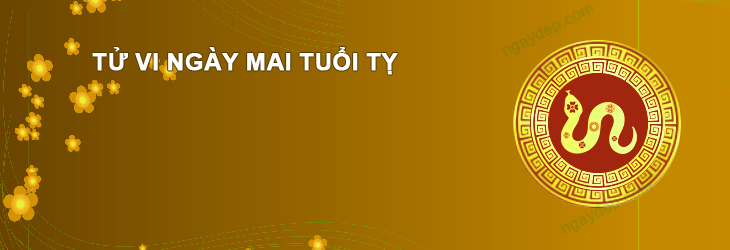Tử vi ngày mai ngày 11/12/2025 Tuổi Tỵ Tử vi ngày mai Tuổi Tỵ