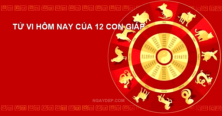 Tử vi hôm nay 23/10/2025 của 12 con giáp
