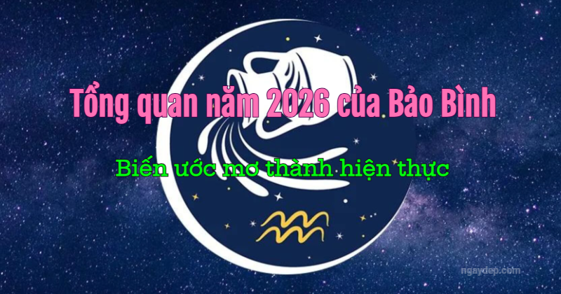 Tử vi 2026 cung Bảo Bình Tử vi 2026 Bảo Bình