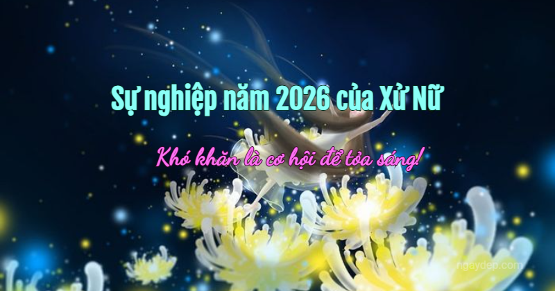 Sự nghiệp năm 2026: Khó khăn là cơ hội để tỏa sáng!